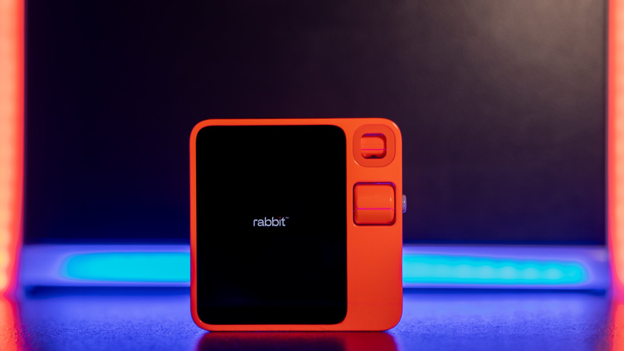 Rabbit R1 display