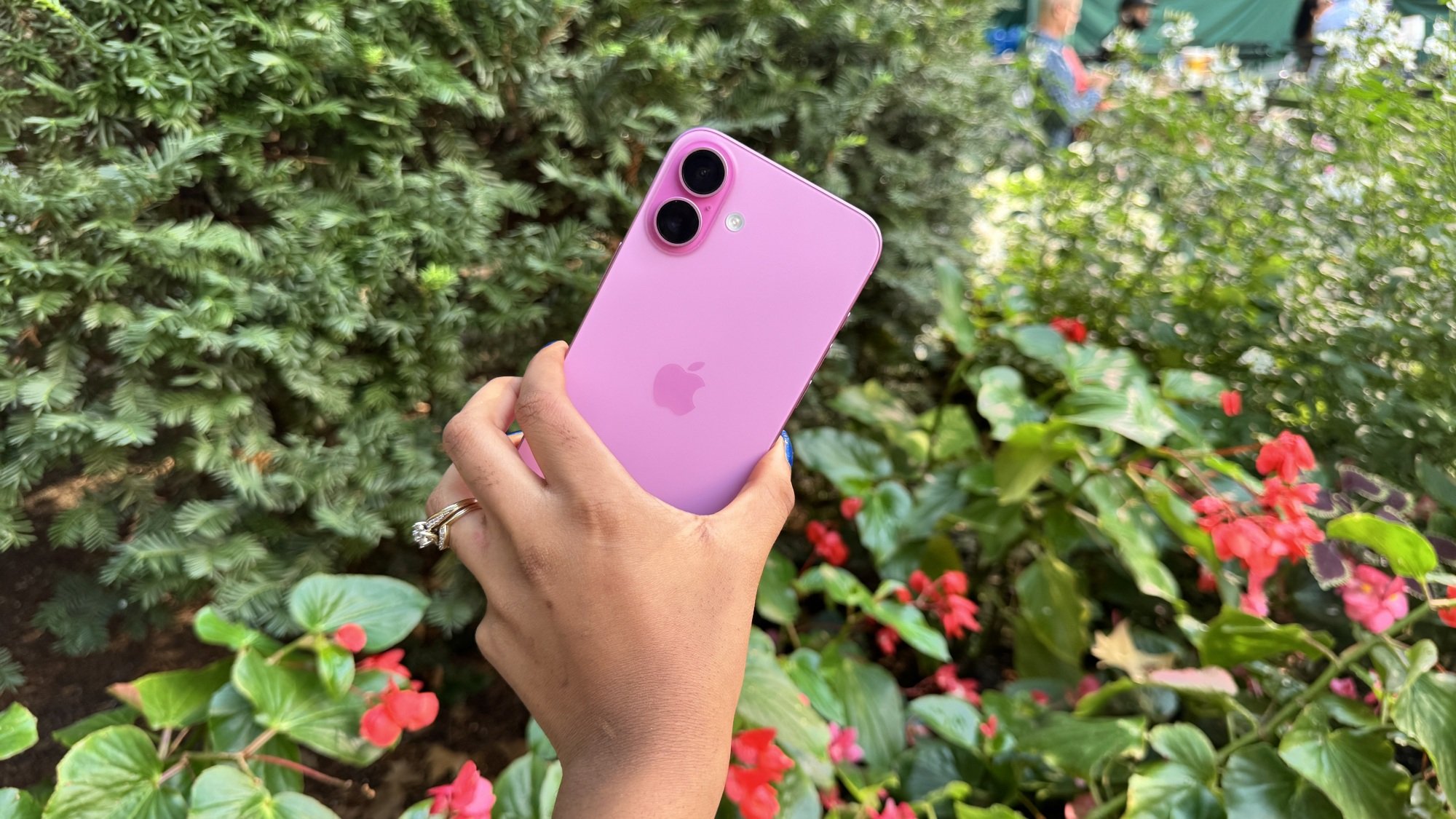 iPhone 16 Plus in Pink