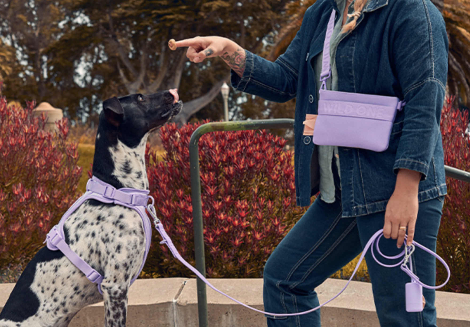 woman and dog