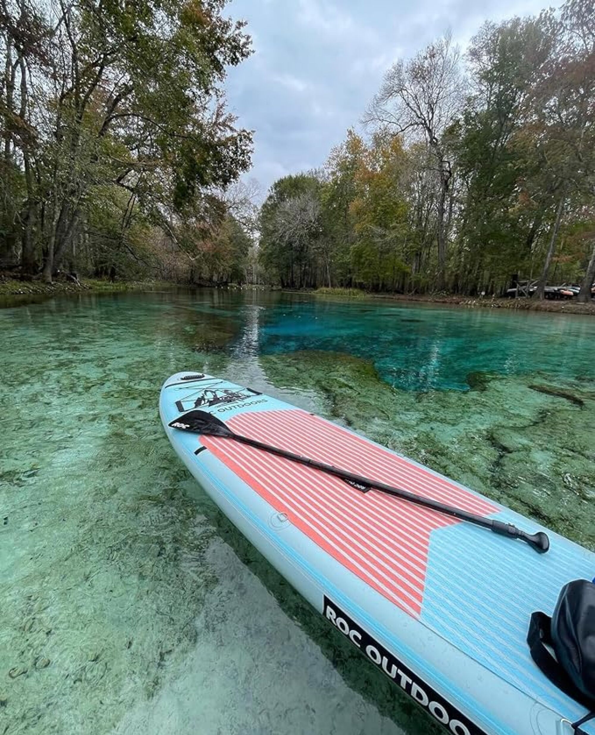 paddle board in water